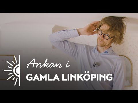 Ankan i Linköping - Gamla Linköping