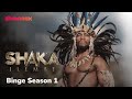 The Story Of A King Shaka ILembe Streaming On Showmax
