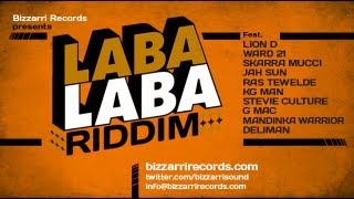 Deliman - Reggae Party (Laba Laba Riddim) [Bizzarri Records 2013]