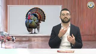 🪮 מסכת חולין בהמחשה חיה! דף י"ט ע"ב: שחיטה כשיני המסרק - פרק 13 🧐 | הרב שמעון אופן בהמחשה ויזואלית 📸