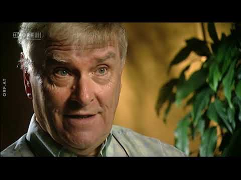 Jahrzehnte in Rot Weiß Rot - Die 80er