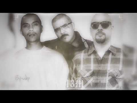 CONEJO/CHINO G/WICKED.