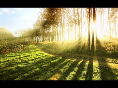 Graciela Murano - Noble Esencia