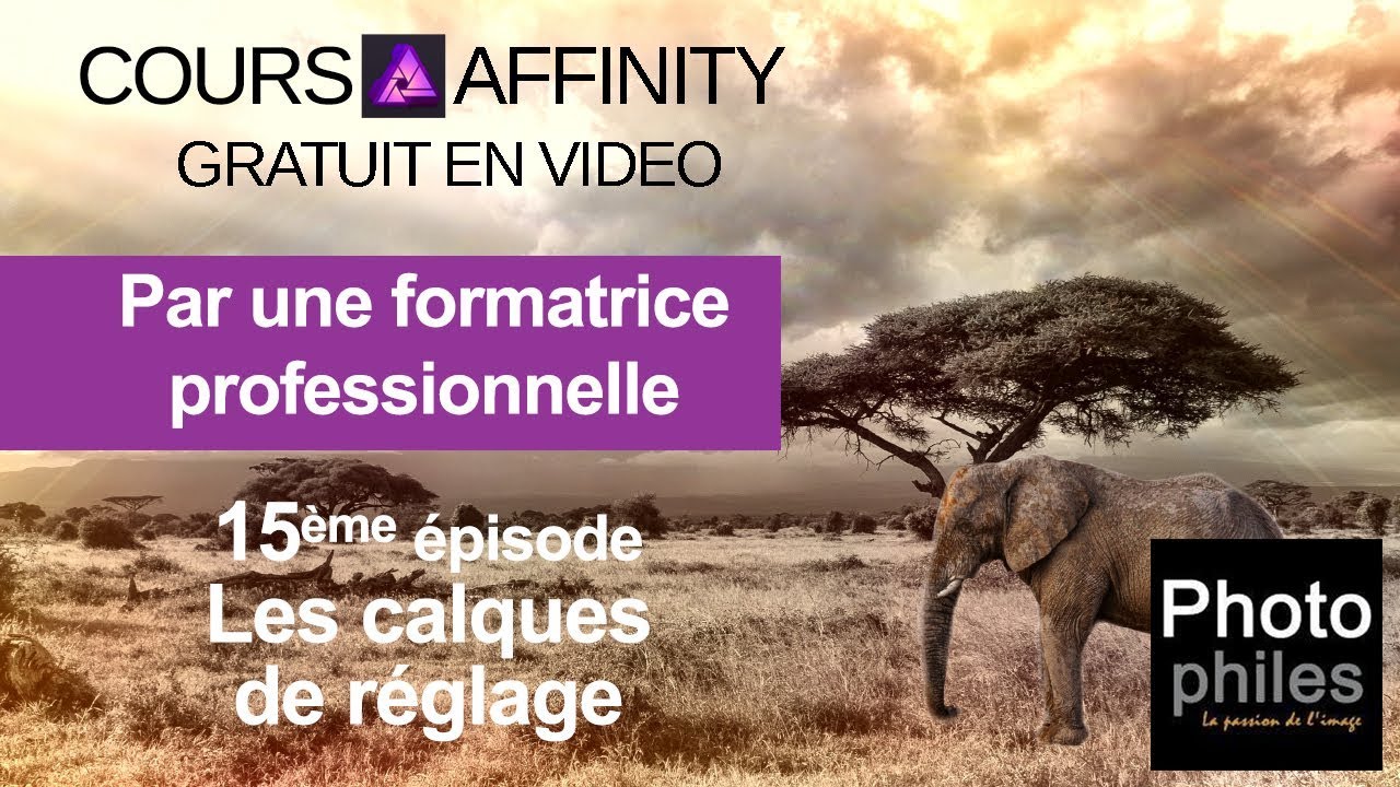 N°15 Cours Affinity Photo. Les calques de réglages