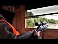 DEER HUNTING PENNSYLVANIA Rifle Season 2021 BIG DOE NECK SHOT W 30 06 Ruger American Lots Of Bucks