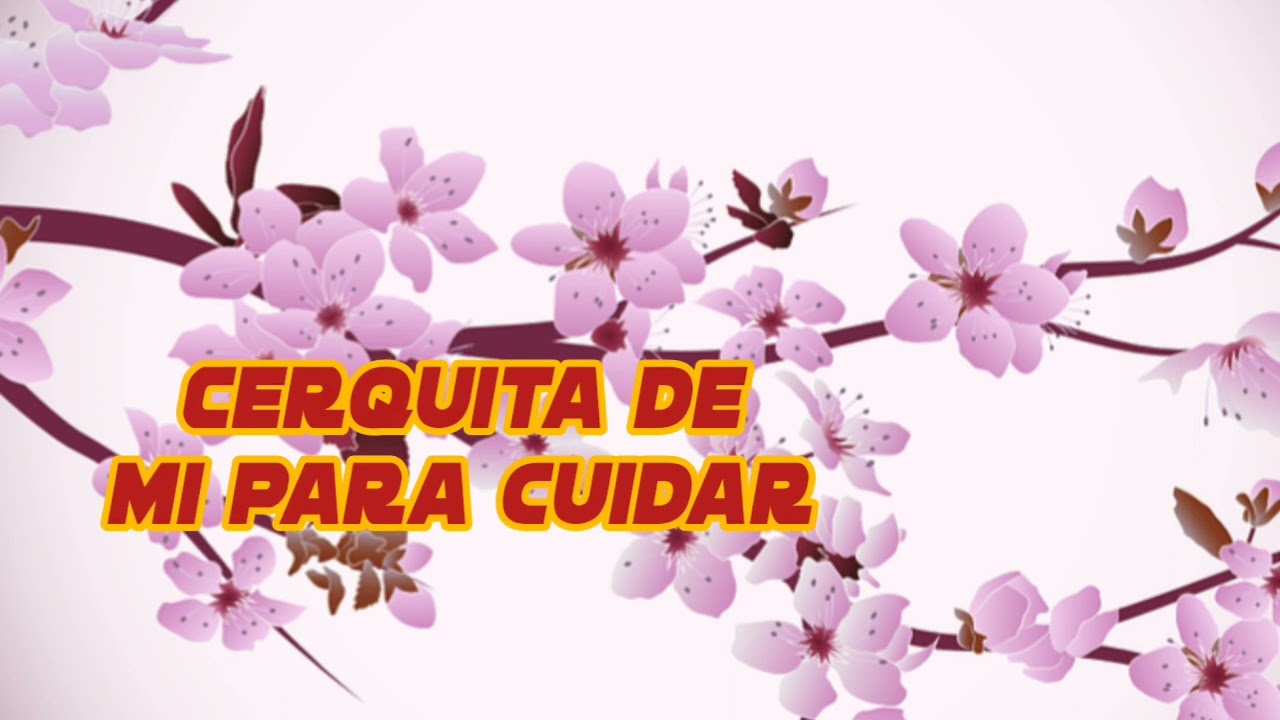 Watch no te alejes de mi poemas Now no te alejes de mi poemas