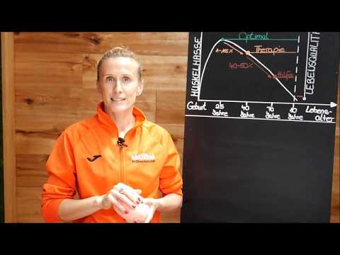 Dein aktiVital - Die Gelenke