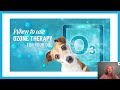 How Ozone Helps Your Pet