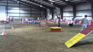 preview picture of video 'Agility Competition in Grimes, Iowa 2014'