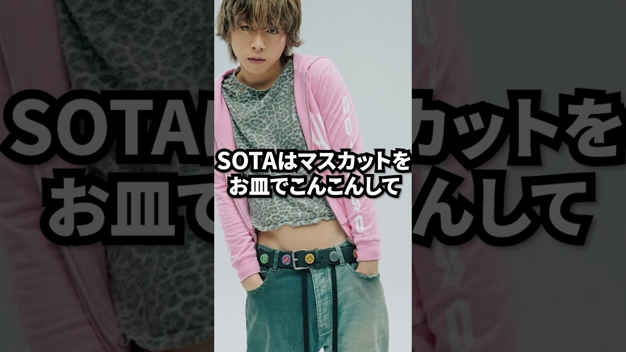 SOTAの面白すぎる雑学8選 #befirst