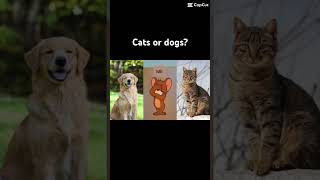 Cat or dogs? #shorts #capcut #cat #dog #youtubeshorts