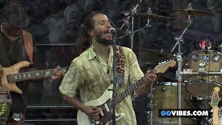 "Give It Away" - Ziggy Marley | Live at Gathering Of The Vibes (2014)