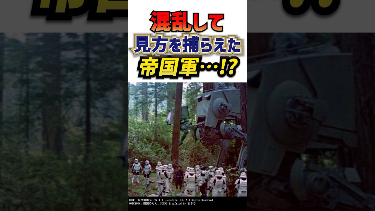 ストームトルーパーを逮捕した帝国軍