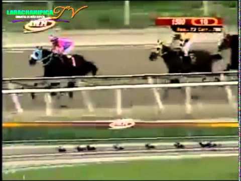 LA RINCONADA 10 CARRERA DOMINGO 14 DE SEPTIEMBRE DEL 2014