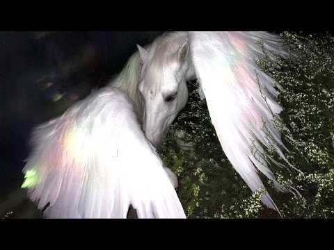 The Death and Perfect Resurrection of Hope