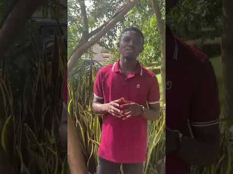 LCP 23.24 Application Video