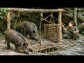 200 Days in the Wilderness Alone | Building Deadly Wild Boar Traps to Survive DEFAULT Thumbnail