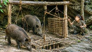 200 Days in the Wilderness Alone | Building Deadly Wild Boar Traps to Survive MQDEFAULT Thumbnail