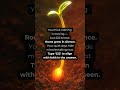 222 — Quiet Roots. Loud Miracles.
