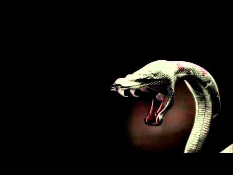 Tom Feat.  Levarr - Snakes (Official Audio)