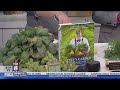A Very Veggie Christmas The Chef S Garden Shares Holiday Gift And Side Dish Ideas