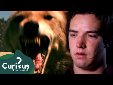 Attacked By A Deadly Predator | Human Prey | FULL Documentary | Curious?: Natural World