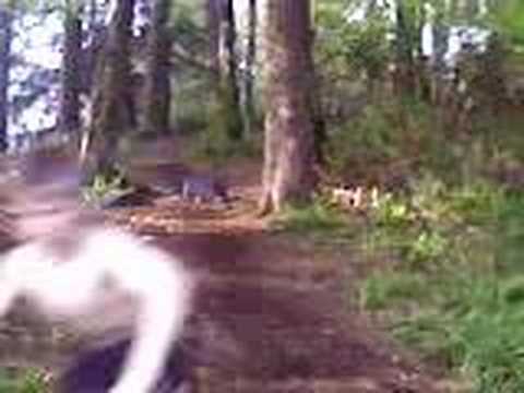 Jordan Kieran Alan On Bikes