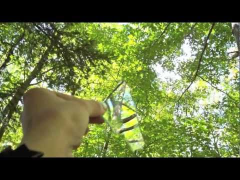 glass in the trees - dead poetic HD
