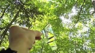 glass in the trees - dead poetic HD