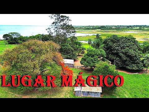 ENCONTRAMOS OS GRANDES AZUIS DO RIO PARANÁ (PESCARIA, ANAURILANDIA-MS)