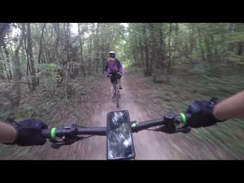 Timisoara - Bazos (Parcul Dendrologic)