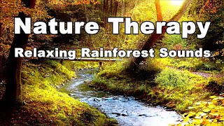Nature Therapy | Relaxing Rainforest Sounds | Birds Chirping and River Flowing