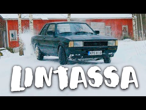 Lintassa BIISONIMAFIA