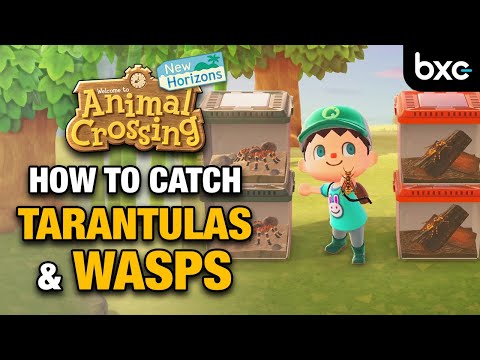 No more Bites and Stings! Catching Tarantulas and Wasps in Animal Crossing New Horizons