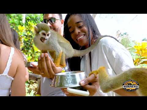 Monkeyland Punta Cana, Dominican Republic