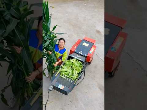 #shorts #agriculture #farming2024 #youngfarmers #shot #EliteShortsUnleashed #2668