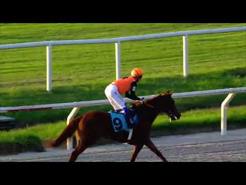 230513 c07 - MAGNIFIC TOUCH - HIPODROMO DE MARONAS
