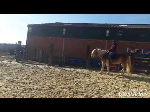 Séance montée du 24/02/2018