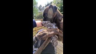 Sammie Tsunami!!!!!!  😎 The Entertainer! 😍