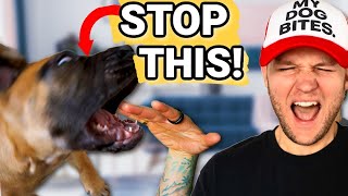 Puppy Training- How To Stop Puppy Biting Guaranteed! STOP Puppy Biting In Seconds!