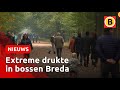 Code Rood in Breda | Omroep Brabant