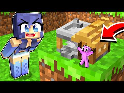 Whoever Builds The Smallest House In Minecraft Wins