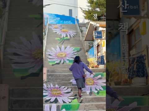 #경주 에서 촬영한 #조립식가족 보고계신가요?