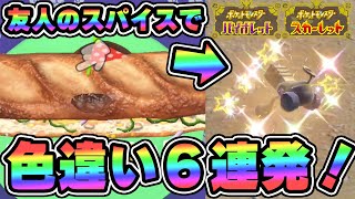 【ポケモンSV】色違い６連発！マルチで秘伝スパイスを節約して色違い厳選する方法！