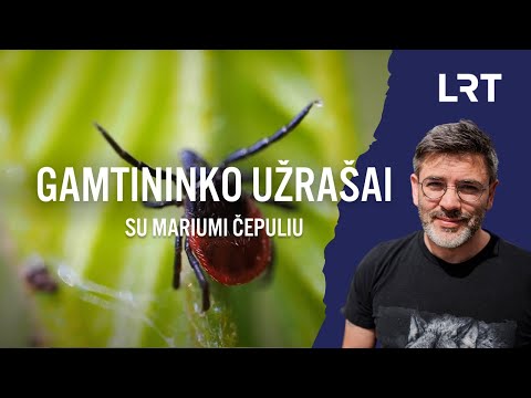 Erkes stebėjęs ir įsisiurbimo neišvengęs Čepulis: jos negyvena tam, kad mus kankintų