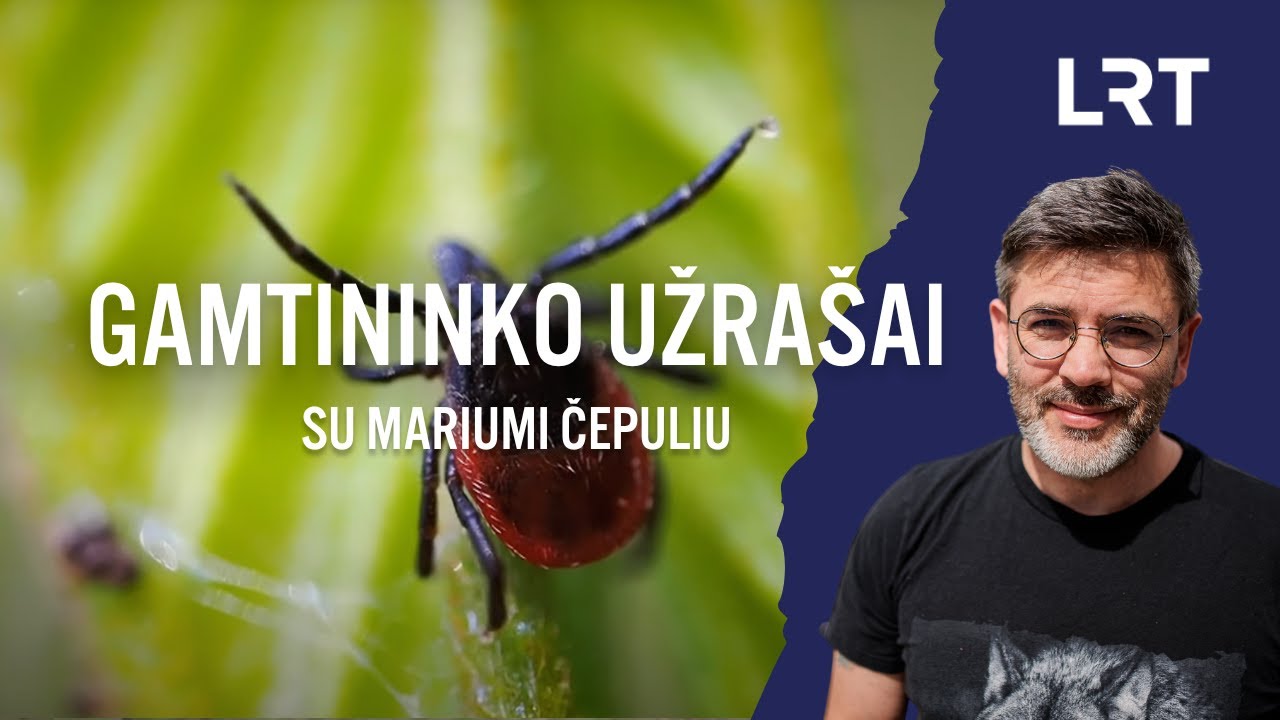 Erkes stebėjęs ir įsisiurbimo neišvengęs Čepulis: jos negyvena tam, kad mus kankintų