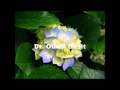 Dr  Obaid Busit Faces com