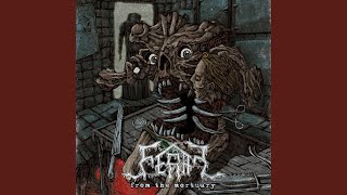 Reborn in the Morgue