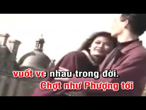 Phượng ơi - Tuấn Vũ