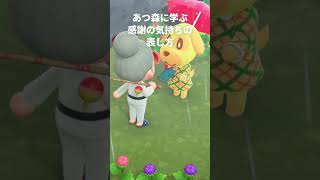 あつ森に学ぶ！感謝の気持ちの表し方1選！！